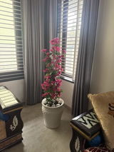 SANDEEP MACHHAR review photo