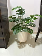 Usha Jain review photo