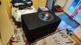 Sascha Donner review photo