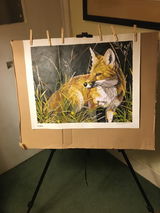 Bridget Till review photo
