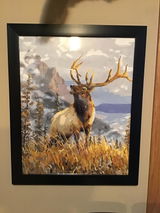 Dan Messman review photo