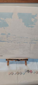 Donna Stauss review photo