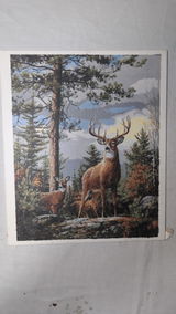 Art Pauls review photo