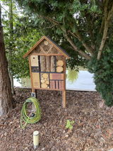 Ad Vane review photo