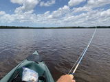 Naples Flyfisher review photo