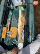 Naples Flyfisher review photo