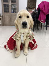 Bella review photo