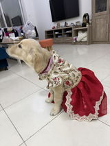 Bella review photo