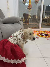 Bella review photo