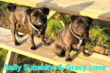 Alex mit Sally Sunshine & Gracy Love review photo