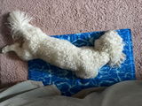 Cristiana review photo