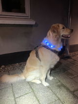 Anonym review photo