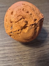 Anonym review photo