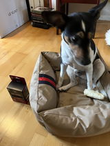 Anonym review photo