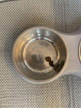 Anonym review photo