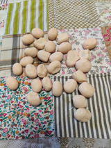 Federica G. review photo