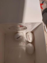 Isabella review photo