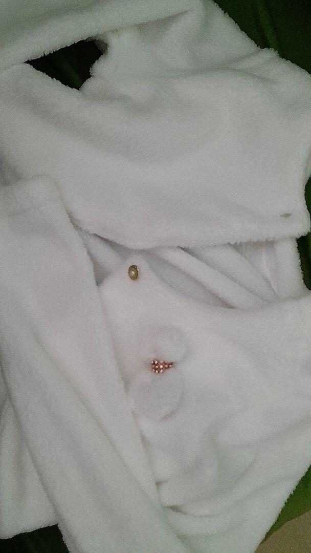 w9vv5enfsk review photo