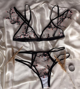 Ewa review photo