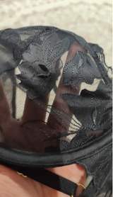 Daria review photo
