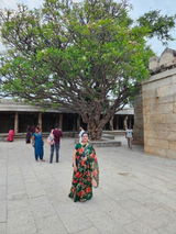 Veenasrinivas review photo
