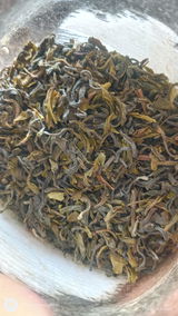 Prathayan Choudhury review photo
