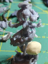 Tadon Christopher review photo