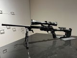 Francois S. review photo