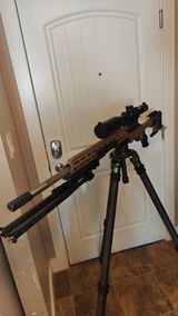 Dako review photo
