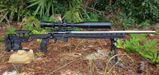 JERRY P. review photo