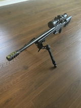 Shay W. review photo