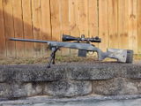 Phil F. review photo