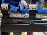 Andy Z. review photo