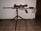 Mark M. review photo