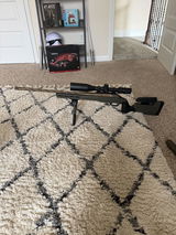 Travis C. review photo