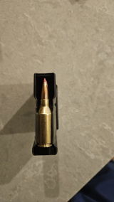 David G. review photo