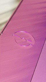 Alice Marin review photo