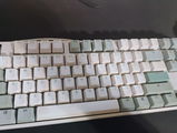 koi zootr review photo