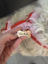 Médaille pour Chien en Forme d'Os à Personnaliser