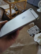 Mark Shingler review photo