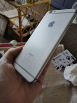 Mark Shingler review photo