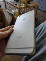 Mark Shingler review photo