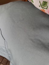 Diana D. review photo