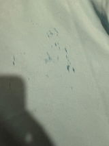 Matt B. review photo