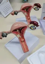 Dr. S. review photo