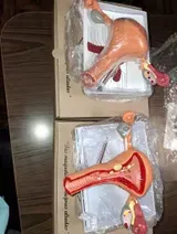 Dr. R.K. review photo