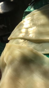 Shuni review photo