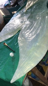 Shuni review photo