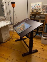 Animator review photo
