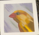 H.B. review photo